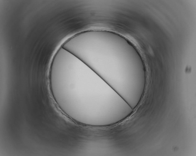 X0000097900864200803281338