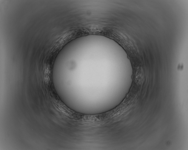 X0000097900866200803281337