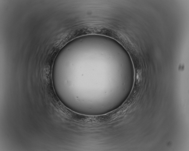 X0000097900867200803281337