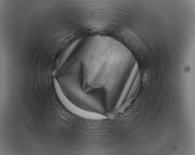 X0000097900868200803281337