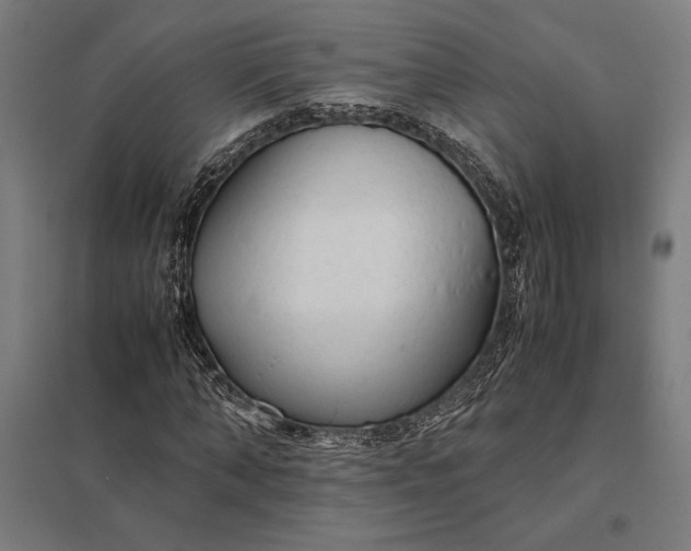 X0000097900870200803281337