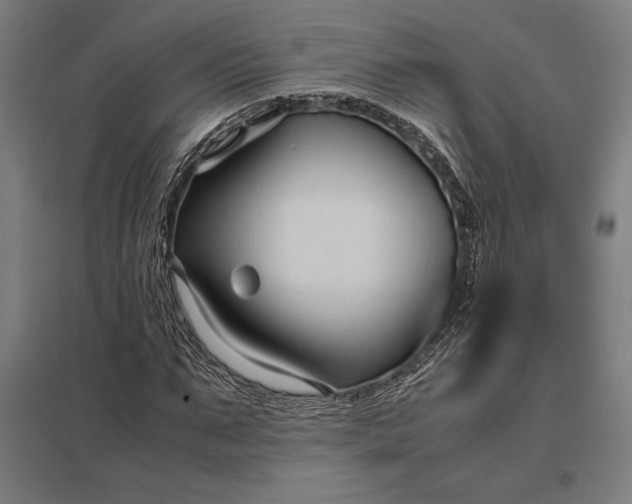 X0000097900871200803281337