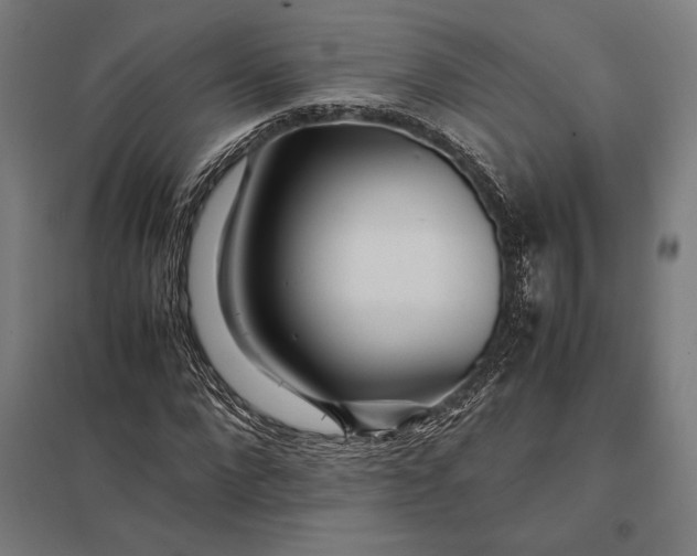 X0000097900872200803281337