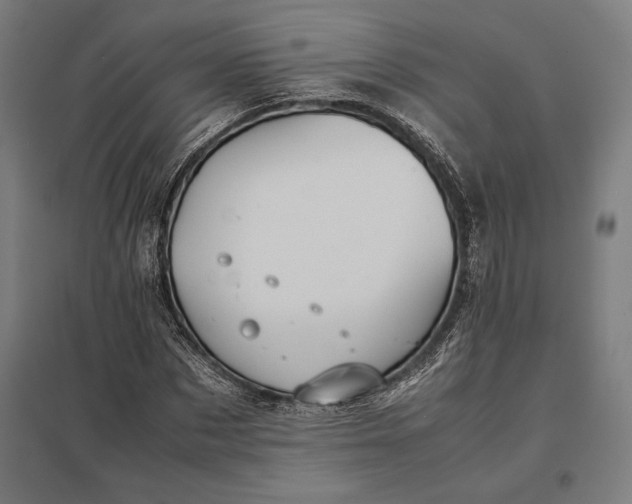 X0000097900873200803281337