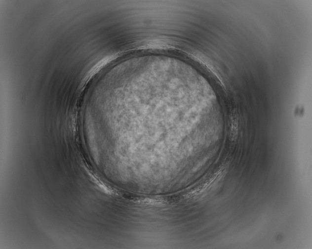 X0000097900874200803281337