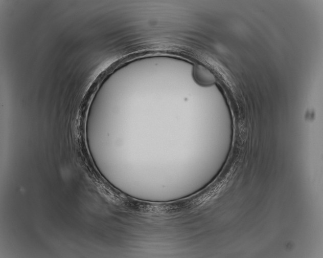 X0000097900875200803281337