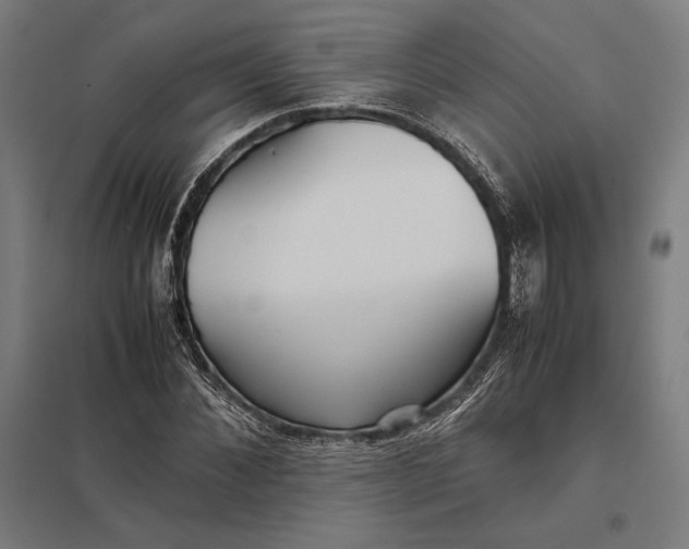 X0000097900876200803281337