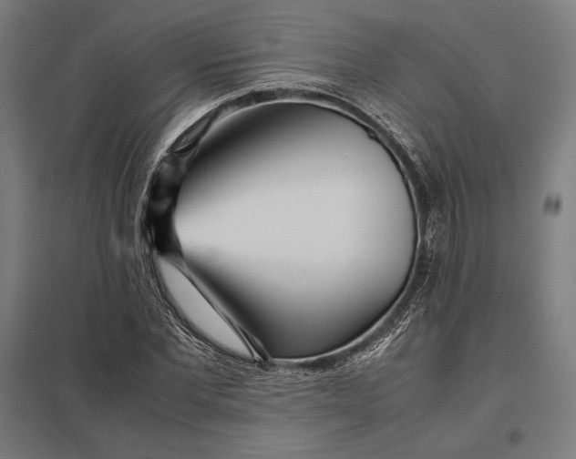 X0000097900877200803281337