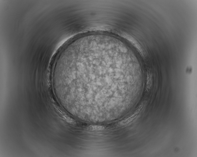 X0000097900878200803281337