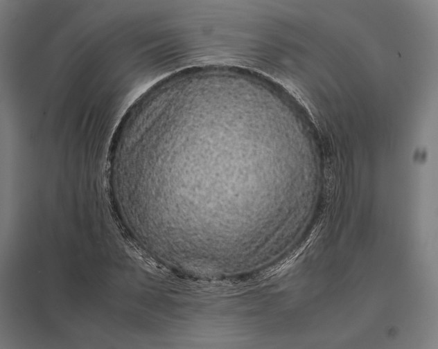 X0000097900879200803281337