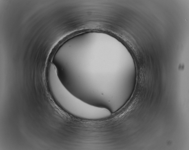 X0000097900880200803281337