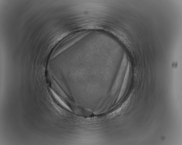 X0000097900881200803281337