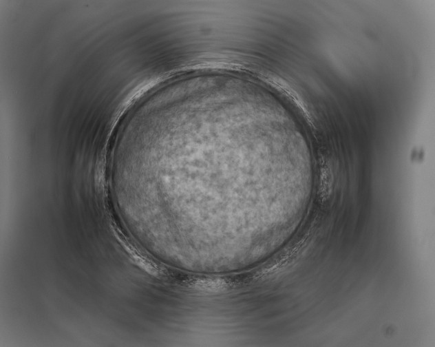 X0000097900882200803281337