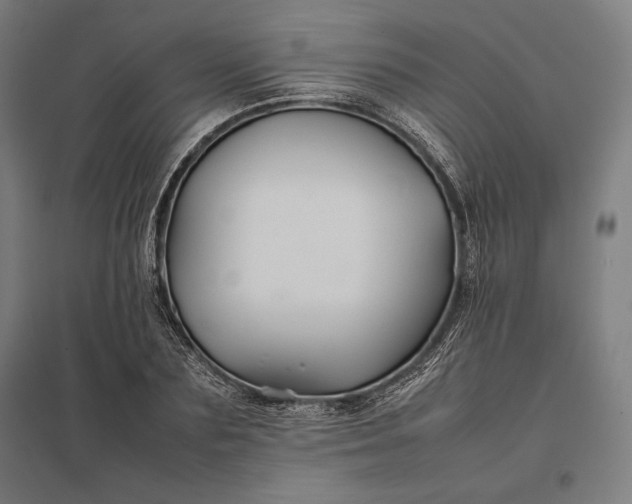 X0000097900883200803281337