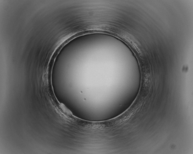 X0000097900884200803281337