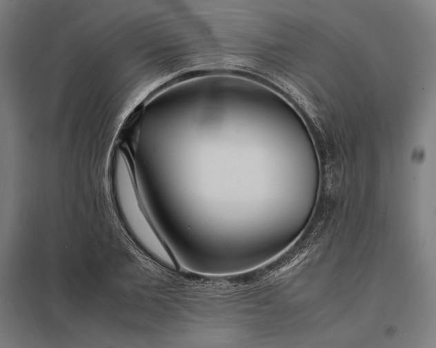 X0000097900885200803281337