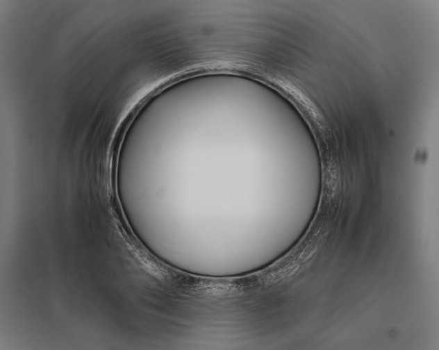 X0000097900886200803281337