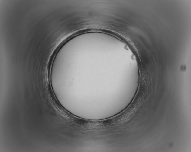 X0000097900887200803281337