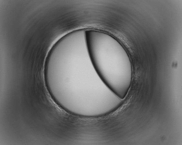 X0000097900888200803281337