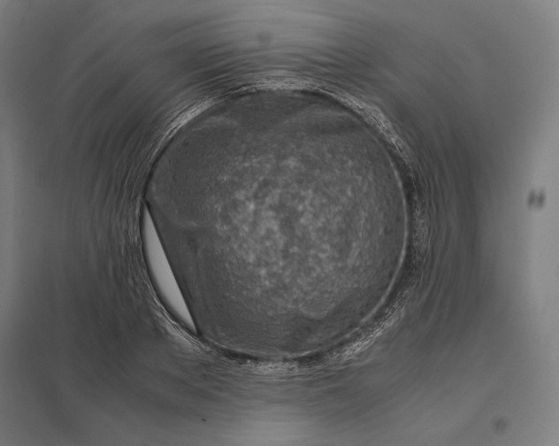 X0000097900889200803281337