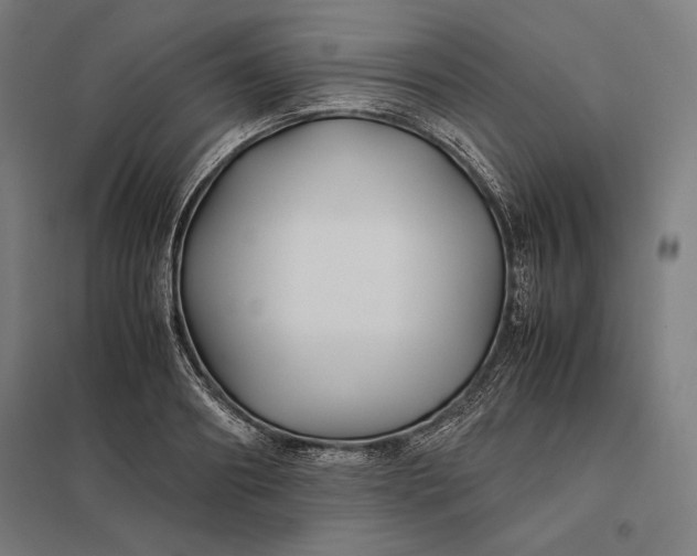 X0000097900890200803281337