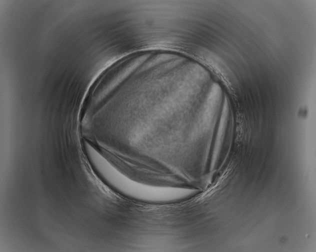 X0000097900892200803281337