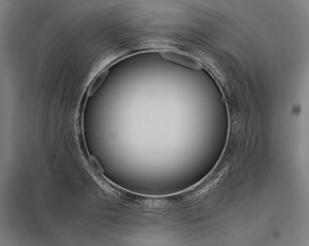 X0000097900893200803281337