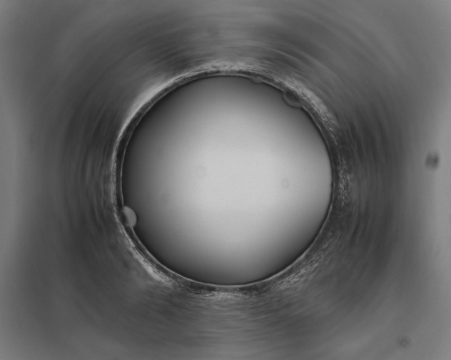 X0000097900894200803281337