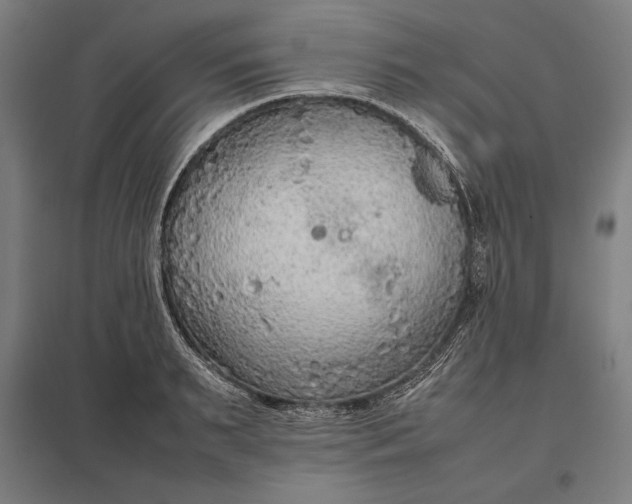 X0000097900895200803281337