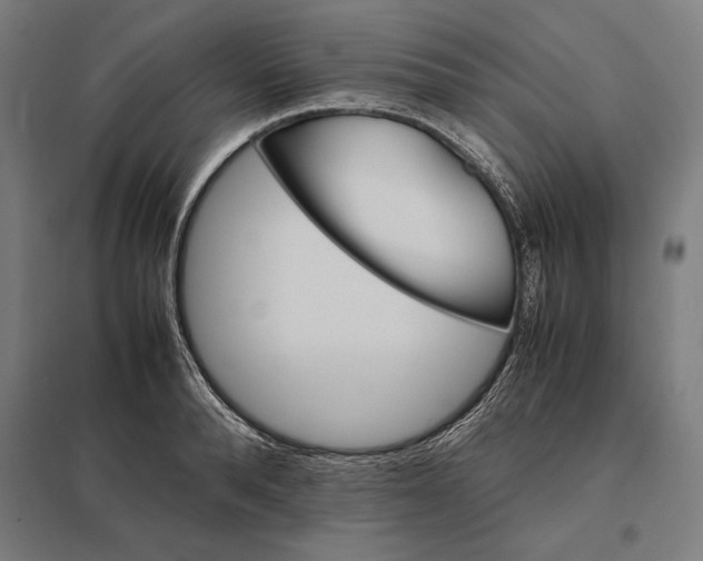 X0000097900896200803281337