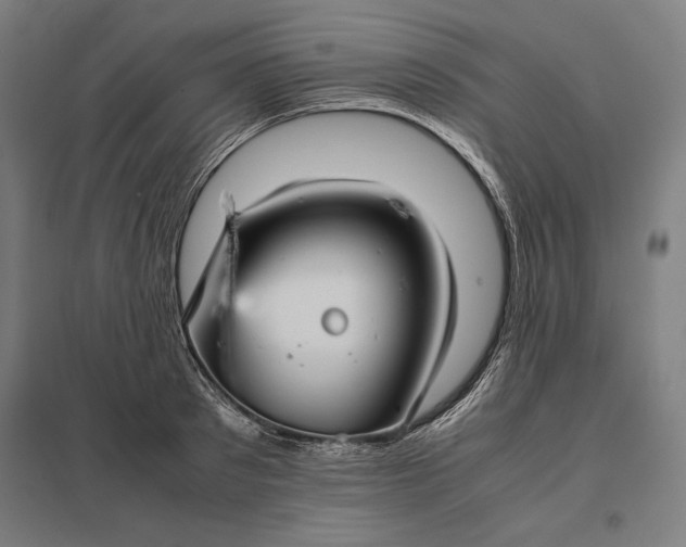 X0000097900897200803281337