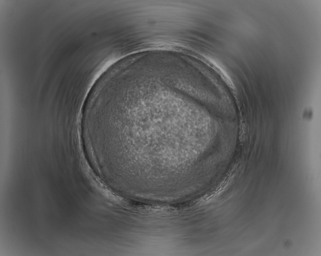 X0000097900899200803281337