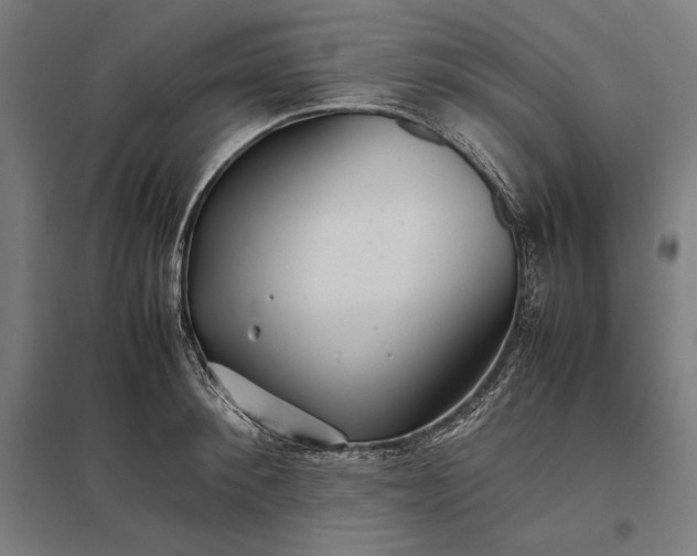 X0000097900900200803281337