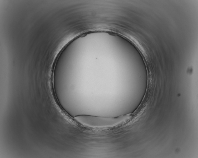 X0000097900901200803281337