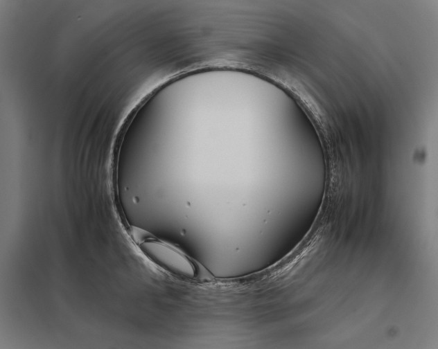 X0000097900902200803281337