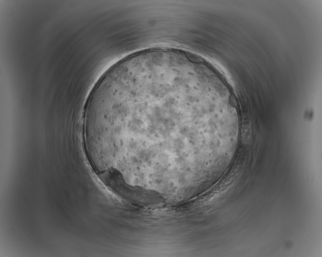 X0000097900903200803281336