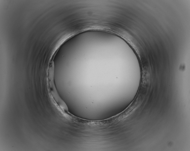 X0000097900906200803281336