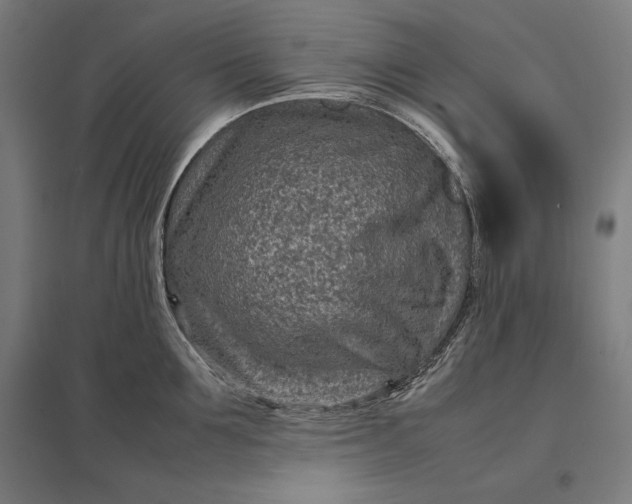 X0000097900907200803281336