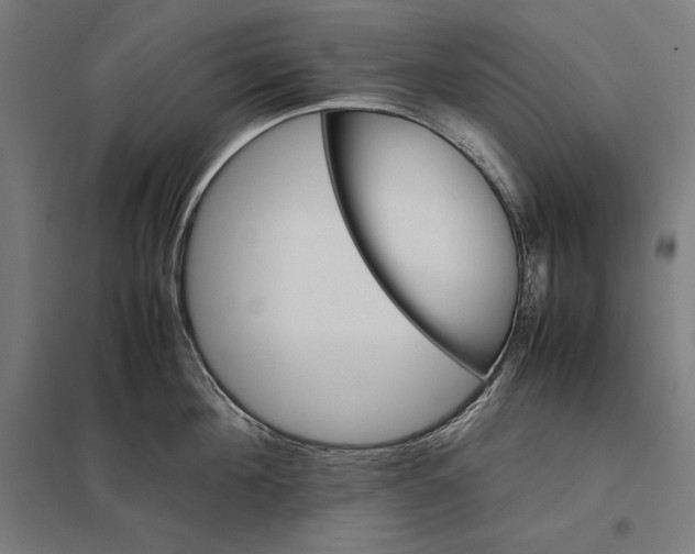 X0000097900908200803281336