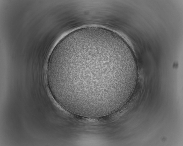 X0000097900911200803281336