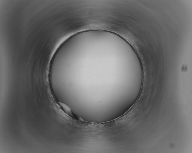 X0000097900912200803281336