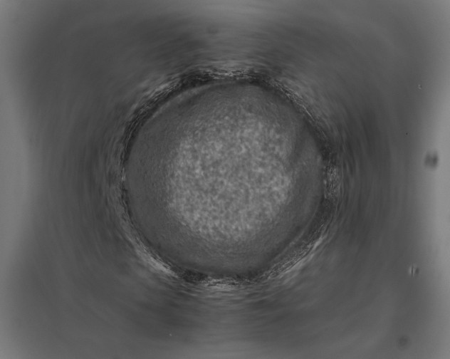 X0000097900913200803281336