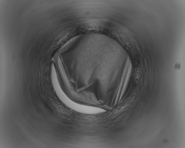 X0000097900916200803281336