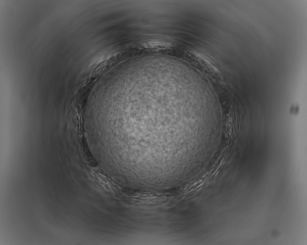 X0000097900917200803281336