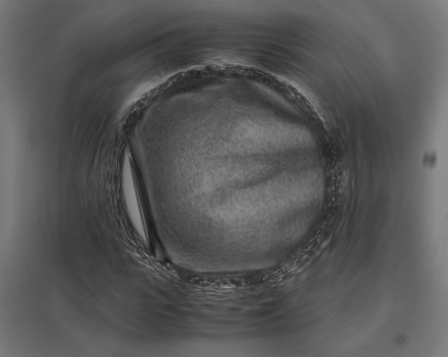 X0000097900919200803281336