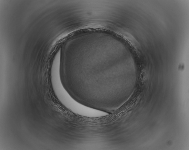 X0000097900920200803281336