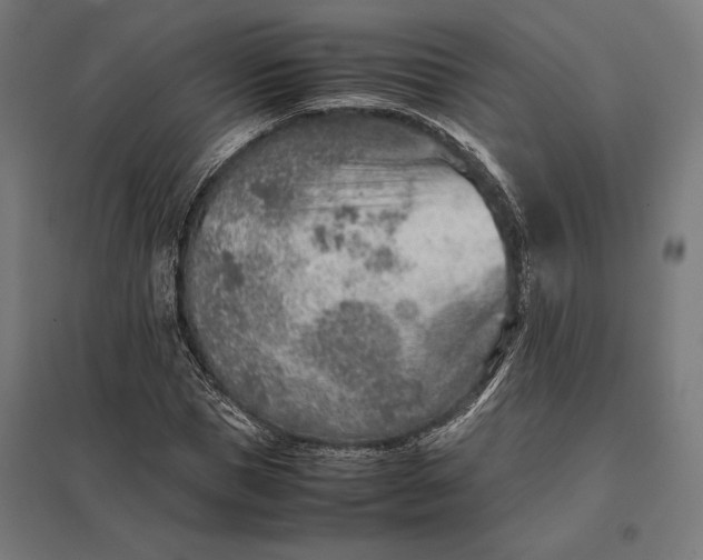 X0000097900921200803281336