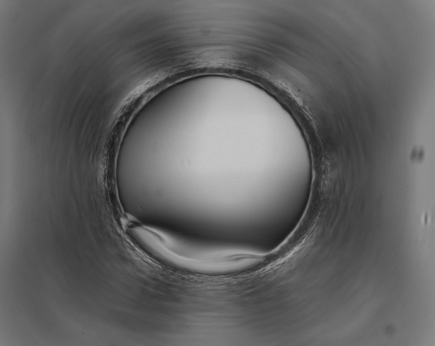 X0000097900922200803281336