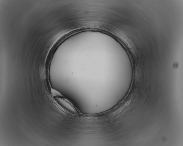 X0000097900924200803281336