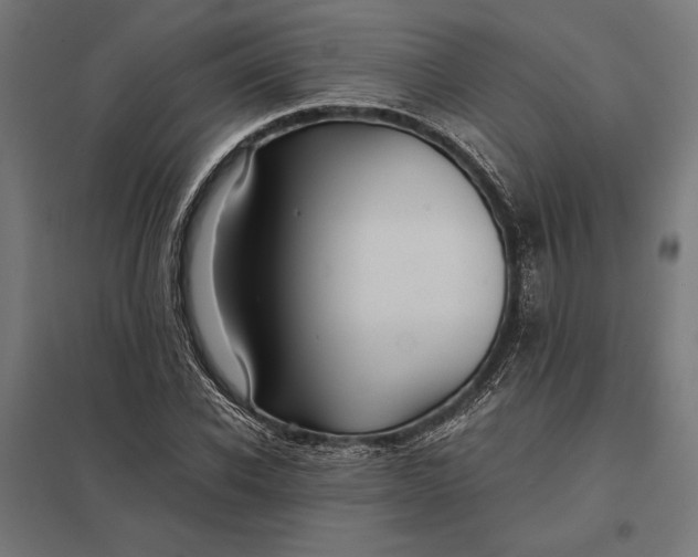 X0000097900926200803281336